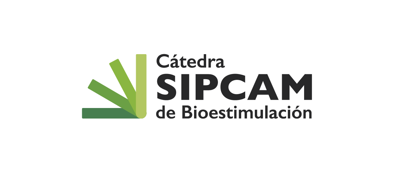 Catedra Sipcam