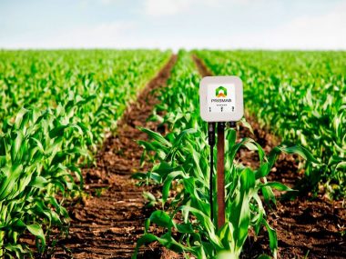 sipcam-contigo-prismab-startup-agricultura-sostenible