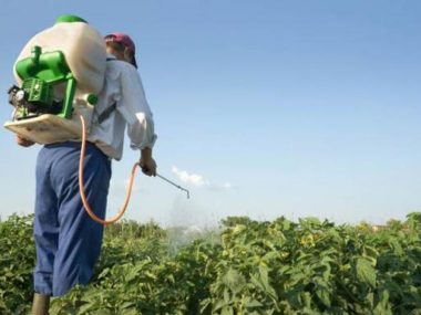 Uso fitosanitarios según Consejo de la Unión Europea